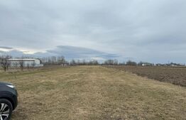 Teren intravilan, 5200MP, centura Radauti