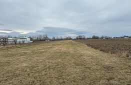 Teren intravilan, 5200MP, centura Radauti