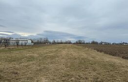 Teren intravilan, 5200MP, centura Radauti