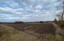 Teren 2000 mp, ideal casa, Horodnic