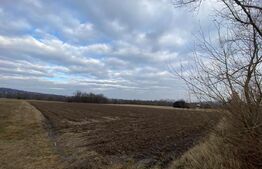 Teren 2000 mp, ideal casa, Horodnic