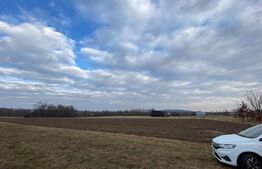 Teren 2000 mp, ideal casa, Horodnic