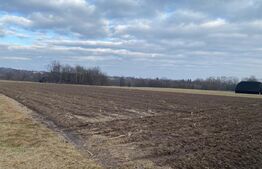 Teren 2000 mp, ideal casa, Horodnic