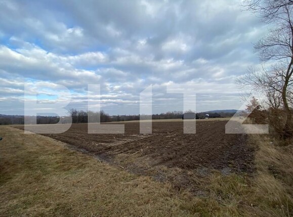 Teren de vânzare Horodnic - 151656TV | BLITZ Suceava | Poza1