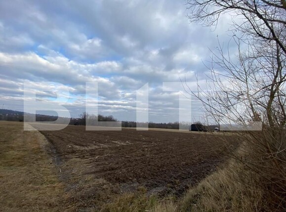 Teren de vânzare Horodnic - 151656TV | BLITZ Suceava | Poza5