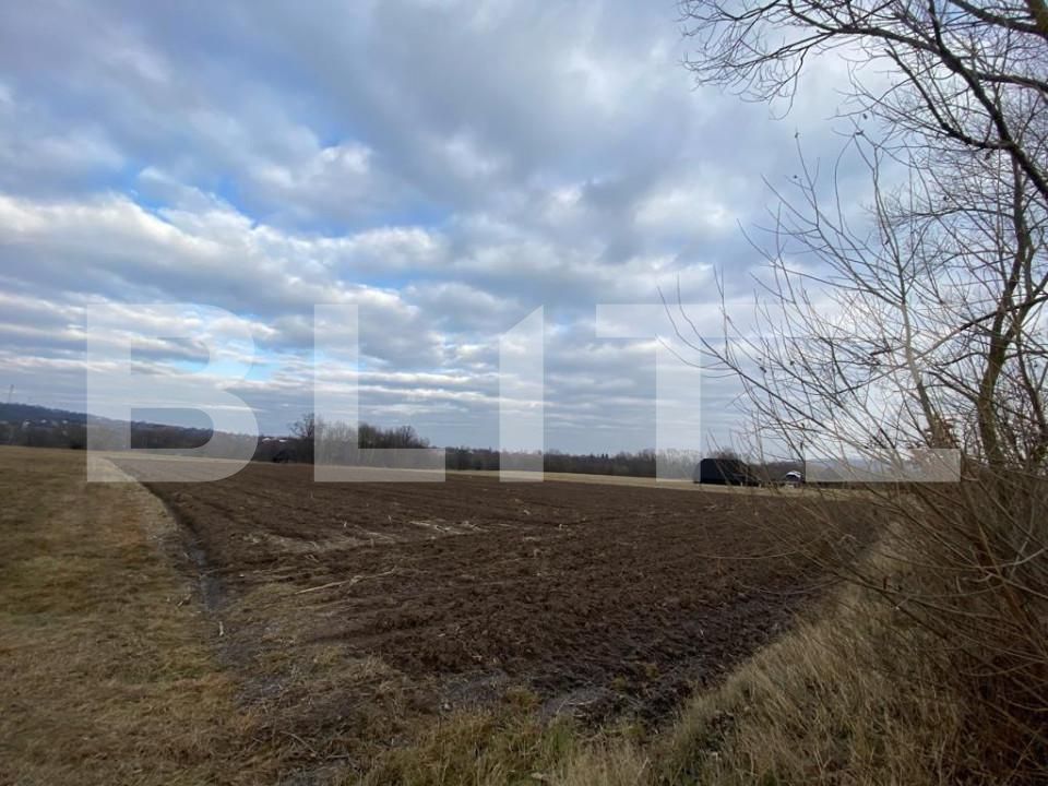 Teren de vânzare Horodnic - 151656TV | BLITZ Suceava | Poza5