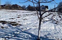 Casa individuala ,120mp + 3500mp teren, Bosanci