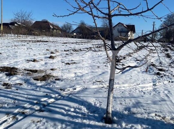 Casa de vânzare 4 camere Bosanci - 151687CV | BLITZ Suceava | Poza2