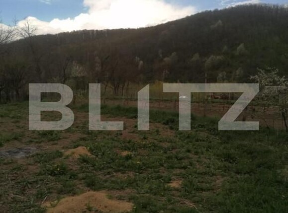 Casa de vânzare 4 camere Patrauti - 151719CV | BLITZ Suceava | Poza3