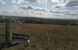 Teren intravilan, 1000 mp, Scheia