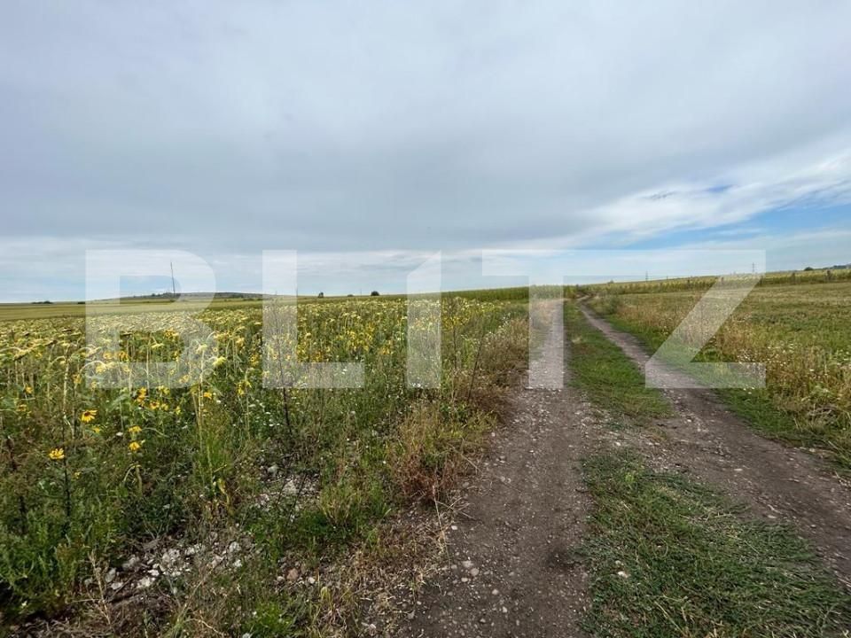 Teren de vânzare Scheia - 151762TV | BLITZ Suceava | Poza1