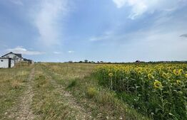 Parcele de 770 mp , drum privat 7m , zona rezidențială Moara
