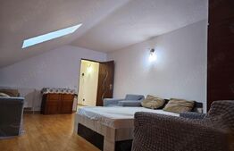 Apartament cu o camera, 45mp, zona Adria Burdujeni