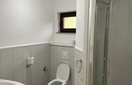 Casa individuala, zona Moara vizavi de Profi Sf Ilie