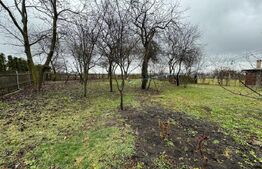 Casa batraneasca, Negostina, oras Siret