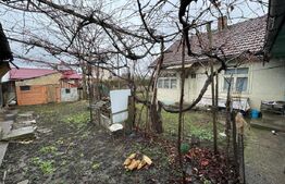 Casa batraneasca, Negostina, oras Siret