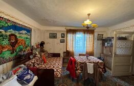 Casa batraneasca, Negostina, oras Siret