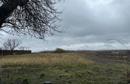 Casa batraneasca, Negostina, oras Siret