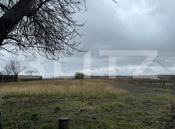 Casa de vânzare 2 camere Siret - 151830CV | BLITZ Suceava | Poza3