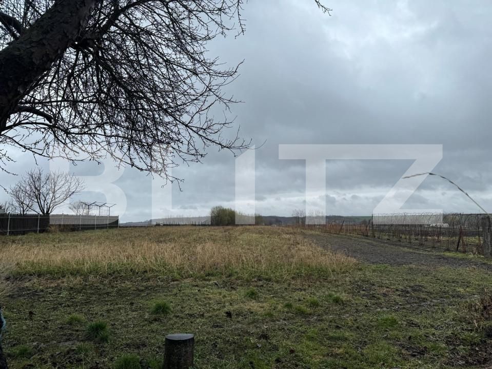 Casa de vânzare 2 camere Siret - 151830CV | BLITZ Suceava | Poza3
