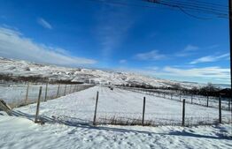 Teren intravilan, 10.000 mp, deschidere 23 ml, în Fălticeni