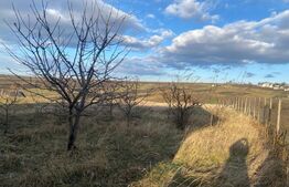 Casa batraneasca, 80mp, zona Balcauti