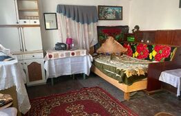 Casa batraneasca, 80mp, zona Balcauti