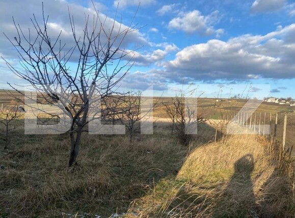 Casa de vânzare 3 camere Balcauti - 151842CV | BLITZ Suceava | Poza10