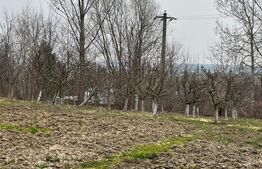 Casa individuala + Teren 4600 mp- Siret