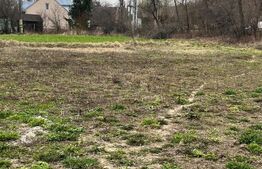 Casa individuala + Teren 4600 mp- Siret