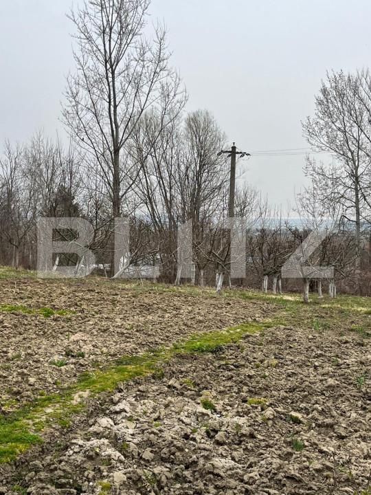 Casa de vânzare 4 camere Siret - 151848CV | BLITZ Suceava | Poza12