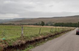 Teren Intravilan - 5000 mp, la 3 km de orașul Fălticeni