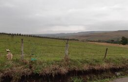 Teren Intravilan - 5000 mp, la 3 km de orașul Fălticeni