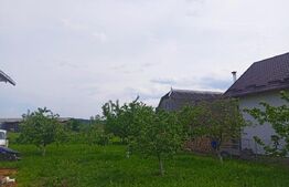 Casă 4 camere, 110 mp și 7000 mp de teren, Mitocu Dragomirnei