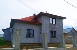 Casă 4 camere, 110 mp și 7000 mp de teren, Mitocu Dragomirnei