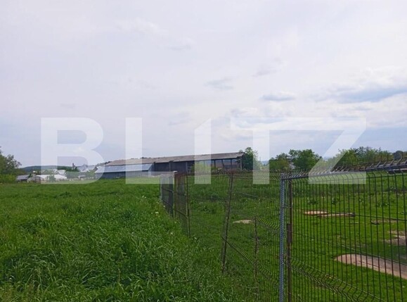 Casa de vânzare 4 camere Mitocu Dragomirnei - 151870CV | BLITZ Suceava | Poza7