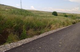 Teren de 2000 mp in zona centurii Moara Suceava 