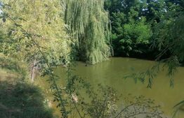 Casa cu arhitectura deosebita, iaz, panouri solare, 370mp, zona Adancata