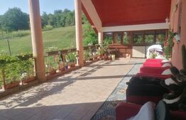 Casa cu arhitectura deosebita, iaz, panouri solare, 370mp, zona Adancata