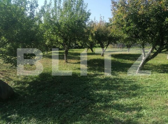 Casa de vânzare 8 camere Adancata - 151890CV | BLITZ Suceava | Poza4