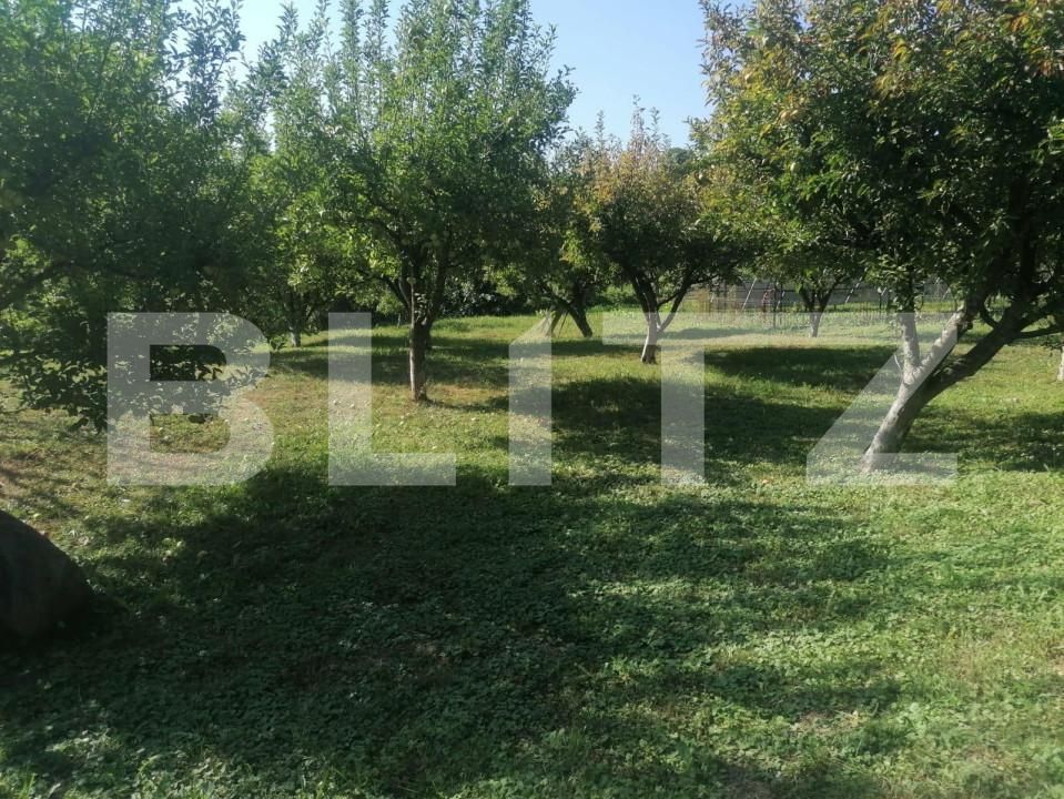 Casa de vânzare 8 camere Adancata - 151890CV | BLITZ Suceava | Poza7