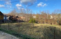 Casa batraneasca, 249mp, oras Siret