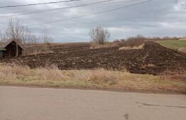 Teren intravilan 3600 mp -Gramesti (pret negociabil)