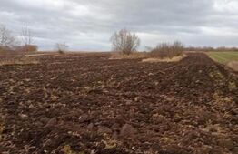 Teren intravilan 3600 mp -Gramesti (pret negociabil)