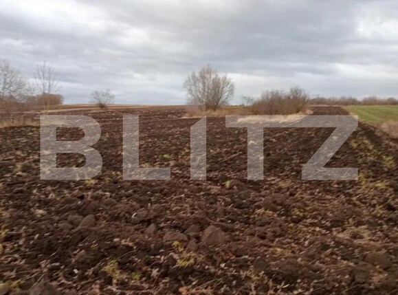 Teren de vânzare Gramesti - 151897TV | BLITZ Suceava | Poza4