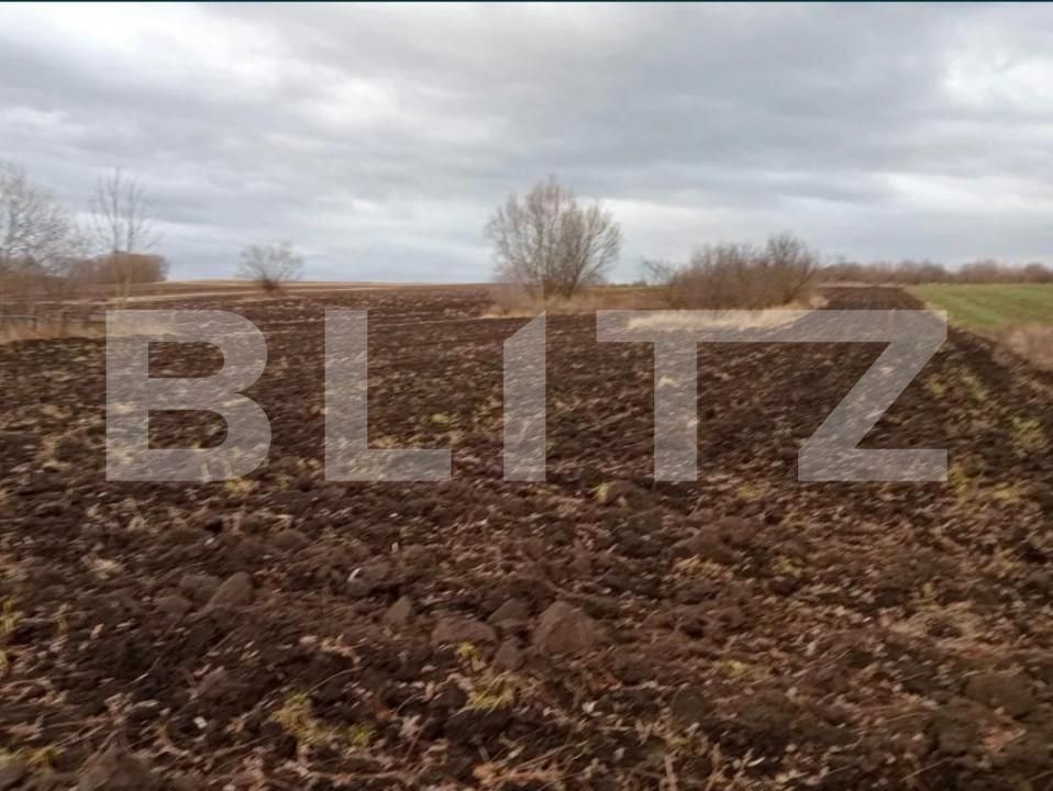 Teren de vânzare Gramesti - 151897TV | BLITZ Suceava | Poza4