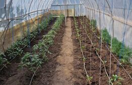 Casă individuală, 100 mp utili, teren 759 mp, Fălticeni