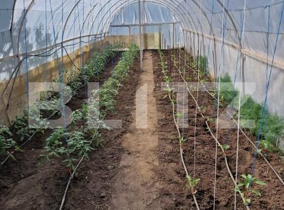 Casa de vânzare 4 camere Falticeni - 151904CV | BLITZ Suceava | Poza7