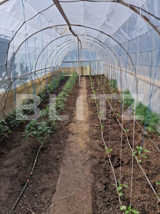 Casa de vânzare 4 camere Falticeni - 151904CV | BLITZ Suceava | Poza7