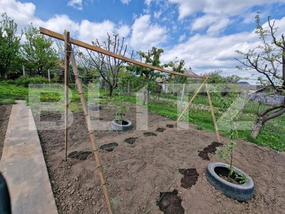 Casa de vânzare 4 camere Falticeni - 151904CV | BLITZ Suceava | Poza8